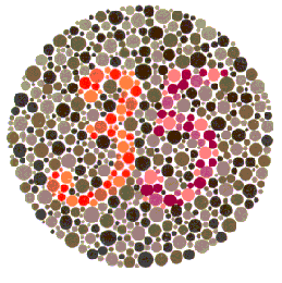 Ishihara test for colourblindness