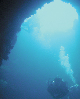 photo of a diver under the sea